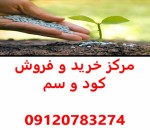نمایندگی سم و کود در اصفهان - مرکز فروش سم و کود
